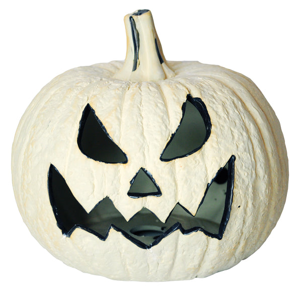 Pumpkin Fire Log