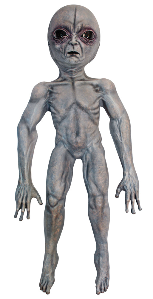 Alien Area 51 Prop