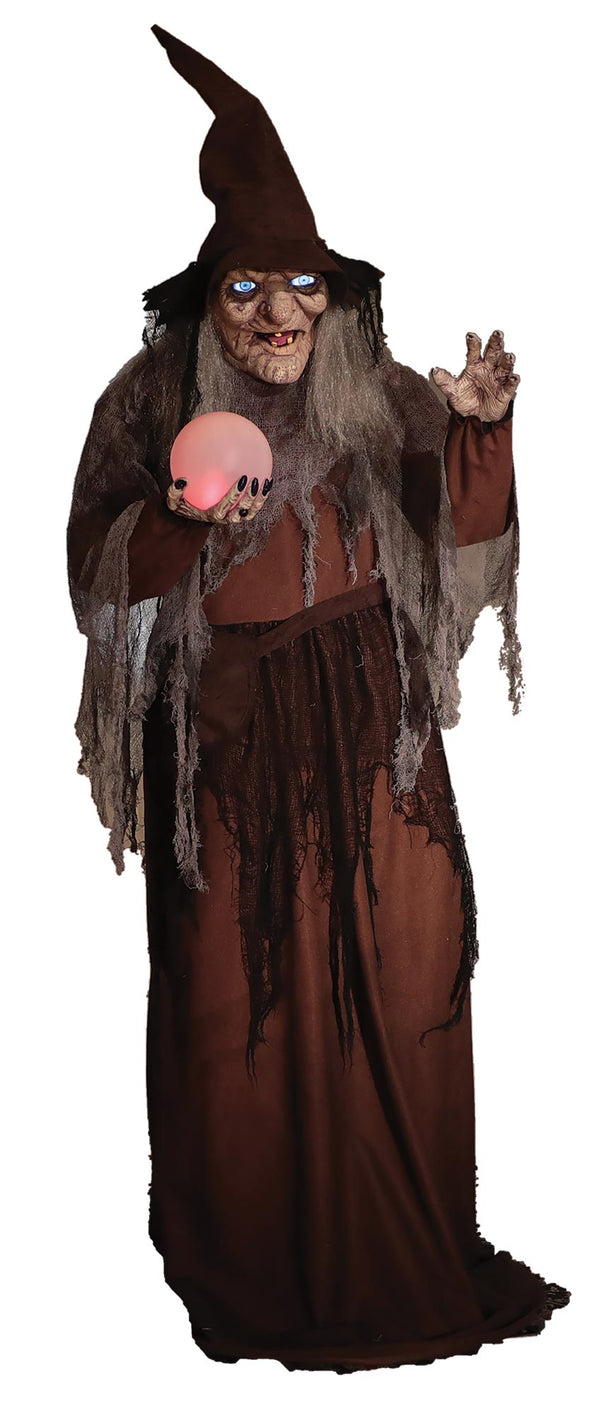 Soothsayer Witch Life Size  Animated Prop Decoration