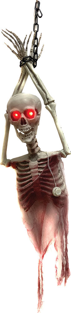 Skeleton Torso Light Up Prop